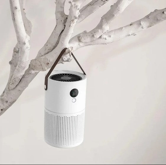 Apex Portable Wireless Household Air Purifier